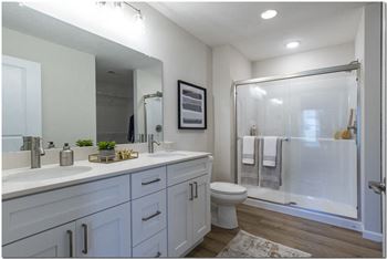 Custom showers with glass doors